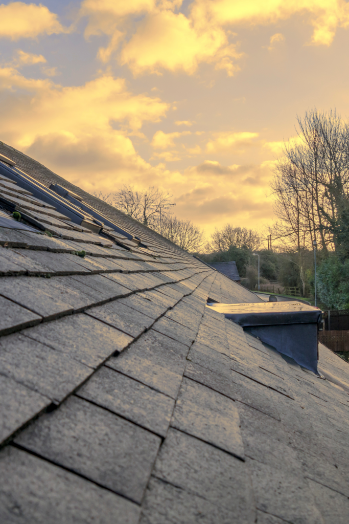 Roof cleaning service