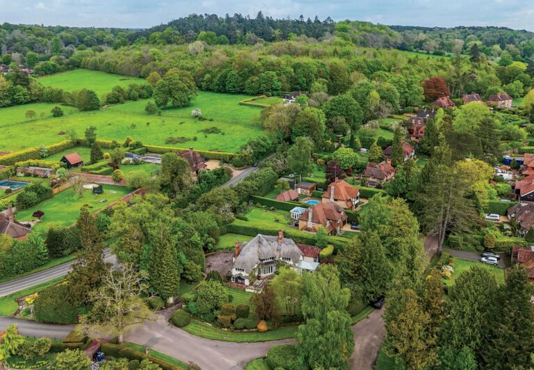 Roof Cleaning in Wonersh