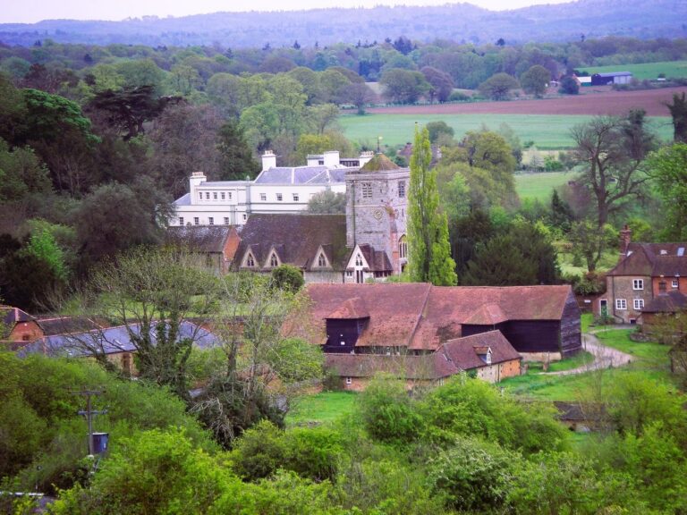 Roof Cleaning in Puttenham