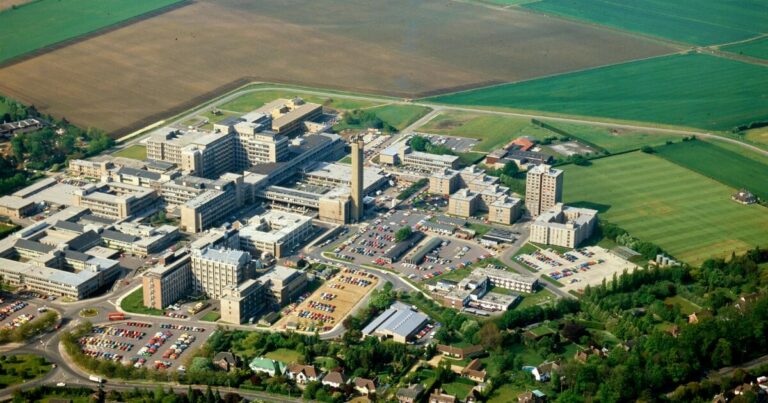 Roof Cleaning in Ansteadbrook