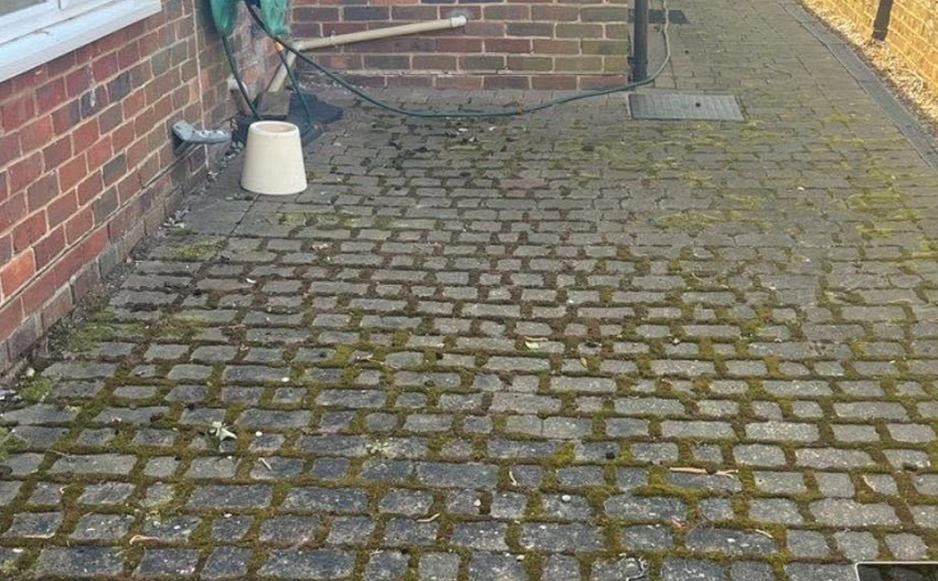 path-1 Driveway cleaning in Surrey before